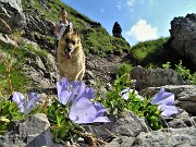 Cima Alben (2020 m) in periplo dal Passo della crocetta il 26 luglio 2020- FOTOGALLERY